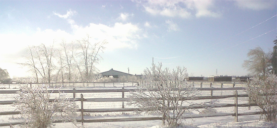 Classicala farm-winter