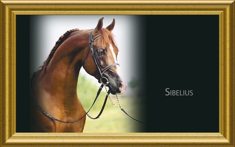sibelius
