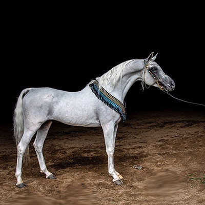 A Ali Sudan